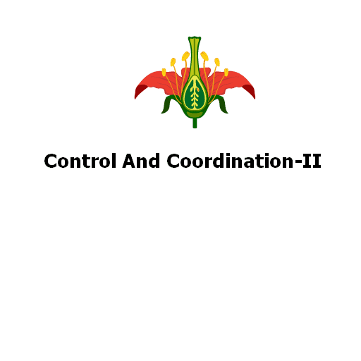 Control And Coordination-II